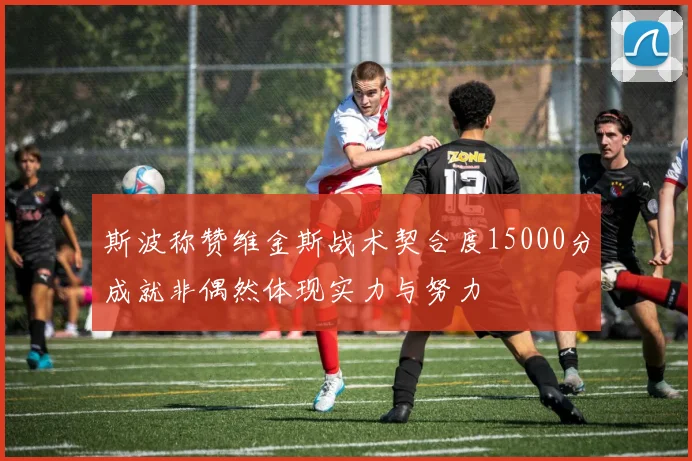 斯波称赞维金斯战术契合度15000分成就非偶然体现实力与努力