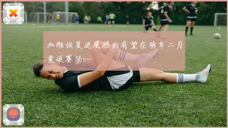 加维恢复进展顺利有望在明年二月重返赛场