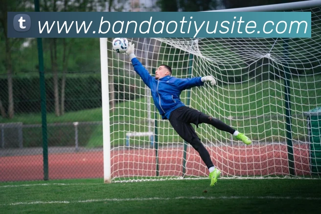 半岛体育品牌故事