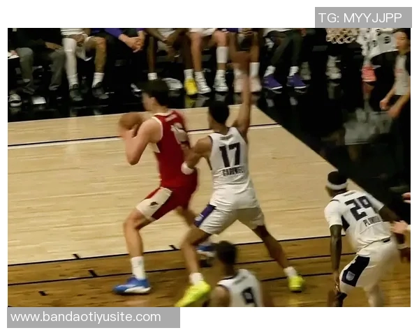 杨瀚森吕佩尔确认出战混音接下来两个主场比赛全力争胜